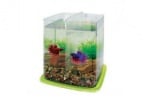 "Betta Battle Paradise" - Аквариум за рибки