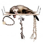 Стълба за порче 35х15cm.