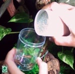 JBL MicroCalcium - Калций на прах за влечуги  100мл