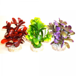 Растение Peeble Plant 14см от Sydeco, Франция