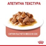 Пауч за за котки в зряла възраст за контролиране поведението на просене на храна Royal Canin Appetite Control 85гр