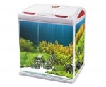 "Sobo AA 390F" - Аквариум с капак, филтър и осветление
