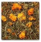 Полски цветя за гризачи