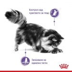 Пауч за за котки в зряла възраст за контролиране поведението на просене на храна Royal Canin Appetite Control 85гр