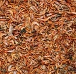 JR-FARM Висококачествена храна за костенурки, богата на протеини. - различни разфасовки