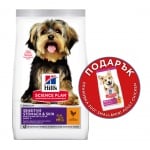 Hills Science Plan Small&Mini Sensitive Stomach&Skin Adult с пилешко - Суха храна за дребни и миниатюрни породи кучета над 1 година с чувствителен стомах и кожа - 1,5 кг.+300 гр. ПОДАРЪК