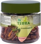 "JR FARM" - Богати на протеини скакалци за влечуги и земноводни
