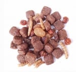 Deli Nature Greenline, Храна за таралеж, 600гр