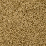 Sera ImmunPro Mini храна с пробиотични бактерии за риби под 4 см, 250 мл