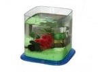 Аквариум Betta Paradise 1,9л - различни цветове на основата