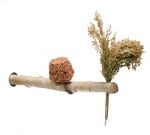 "JR Birds" - Кацалка с лакомства за вълнисти папагали и канарчета