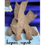 "Корен прав А1206" - Керамична декорация за аквариум