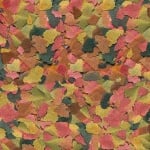 Tetra Min Flakes, храна за тропически рибки, люспа