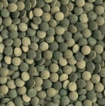 Tetra Pleco Min, храна за тропически рибки, със спирулина, 120таб.