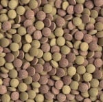 Tetra TabiMin, таблетки за тропически дънни рибки