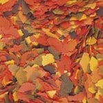 Tropical, Supervit, храна за аквариумни рибки, люспи