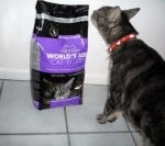 Постелка за тоалетна World's Best Cat Litter™ с аромат на лавандула - три разфасовки