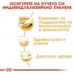 Храна за кучета от порода Джак ръсел териер Royal Canin Jack Russel, 1.500кг