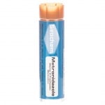 SeaChem Metronidazole™