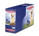 Награди при обучение Coachies® от Company of Animals, Англия