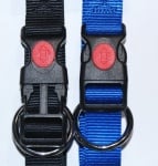 Нашийник Спорт+ със заключващ механизъм - различни цветове и размери