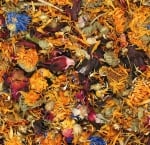 JR FARM Цветя за костенурки, игуани и гущери