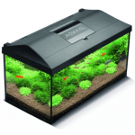 Aqua EL Leddy 60 Set аквариум
