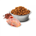 N&D QUINOA SKIN & COAT- Пълноценна храна с киноа за кучета в зряла възраст над 1г. за всички породи при чувствителен стомах, за здрава кожа и козина- с пъдпъдък, кокос и кукума- три разфасовки