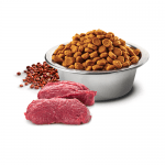 N&D QUINOA SKIN & COAT- Пълноценна храна с киноа за кучета в зряла възраст над 1г. за всички породи при чувствителен стомах, за здрава кожа и козина- с еленско месо, кокос и кукума- три разфасовки