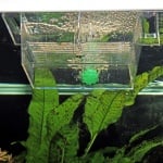 JBL Babyhome 3 in 1 ProAir - родилка, ваничка за новородени риби.