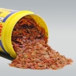 JBL NovoBetta 100ml - Основна храна за бети – люспи