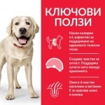 HILL’S SCIENCE PLAN Light Large Breed Adult, храна за кучета с наднормено тегло, с пиле, 14кг