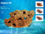 "Корен 04" - Декоративна керамика за аквариум