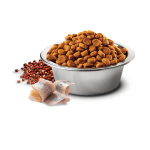 N&D QUINOA SKIN & COAT с херинга - Пълноценна храна за котки в зряла възраст с херинга, киноа, кокос и куркума. При хранителни чувствителности, полезна за възстановяване и поддържане на здравето на кожата и козината - две разфасовки