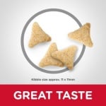 Балансирана храна за котки за намаляване образуването на космени топки Hill's Science Plan Adult Hairball & Indoor с пиле, 100ГР НАСИПНО