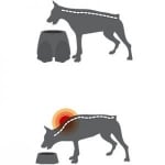 Ергономична хранилка 28см