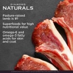 Diamond Naturals Small Breed, суха храна за дребни породи, агне и ориз