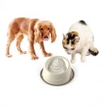 Georplast, фонтан за кучета и котки, 2л