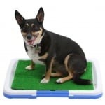 Iso Trade, Кучешка тоалетна, 46.5 x 33.5 x 5.5 cm