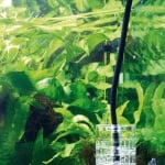 JBL ProFlora T3 CLEAR (CO2-hose 3m) - СО2 маркуч, прозрачен 3м, прозрачен