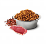 N&D QUINOA SKIN & COAT- Пълноценна храна с киноа за кучета в зряла възраст над 1г. за всички породи при чувствителен стомах, за здрава кожа и козина- с патешко, кокос и кукума- три разфасовки