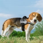 Нагръдник за куче със светлоотразителни шевове Ferplast HERCULES - различни размери и цветове