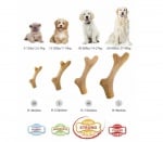 GiGwi, Дентална играчка за куче, Рог с аромат на бор, 10см