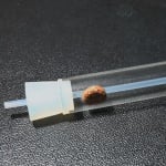 JBL PlaCollect -капан за планарии