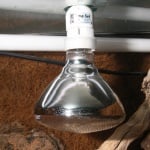 JBL UV-Spot plus  - спот лампа за терариум 3 в 1 - светлина, UV-B, топлина -различни размери