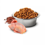 N&D QUINOA SKIN & COAT с пъдпъдъче месо - Пълноценна храна за котки в зряла възраст с пъдпъдъче месо, киноа, кокос и куркума. При хранителни чувствителности, полезна за възстановяване и поддържане на здравето на кожата и козината - две разфасовки