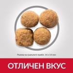 Hills Science Plan Canine Adult Advanced Fitness Large Breed Lamb & Rice - Агнешко&oриз - Кучета от едри породи над 25 кг с умерени енергийни нужди на възраст от 1 до 7 години  14.00кг