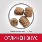 Hills Science Plan Canine Adult Performance Chicken - Кучета с повишени енергийни нужди (Работни и ловни кучета, кучета в екстремни климатични условия капризни кучета) - 14.00кг