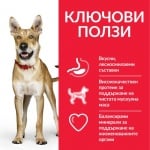 Hills Science Plan Canine Adult Performance Chicken - Кучета с повишени енергийни нужди (Работни и ловни кучета, кучета в екстремни климатични условия капризни кучета) - 14.00кг