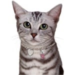 "Camon" - Колие за котка